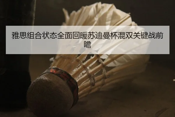 雅思组合状态全面回暖苏迪曼杯混双关键战前瞻